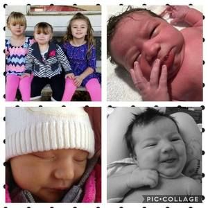 Meet your Posher, Bobbie